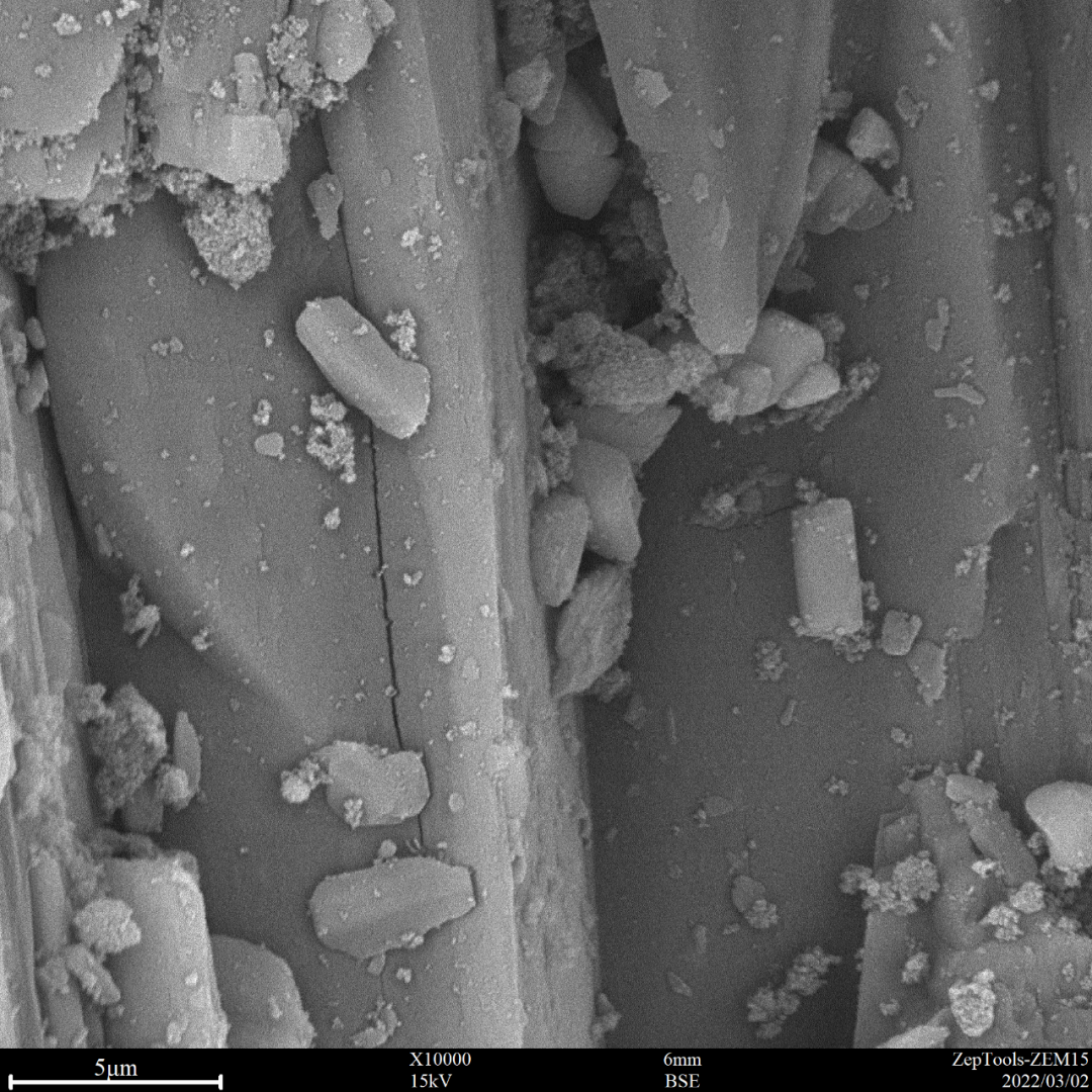 图6 头孢稀释剂（台式扫描电镜10000倍照）