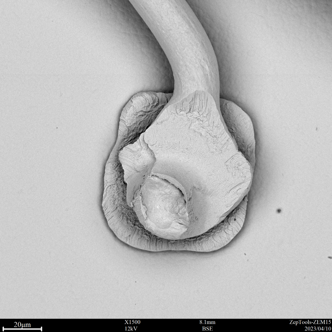 电子元器件焊点检测