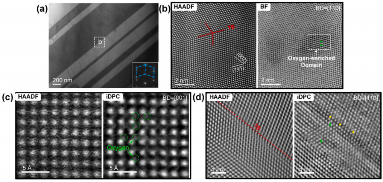 NiCoCrO合金中孪晶表征