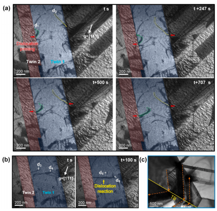 NiCoCrO合金与TWIP HEA的原位TEM拉伸实验2