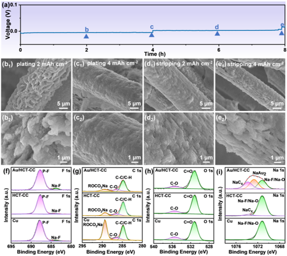 Au/HCT-CC电极沉积剥离的非原位SEM表征和循环后SEI层的XPS测试