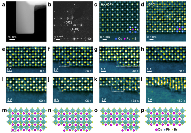 CsPbBr3表面逐层降解路径的原子级直接观察