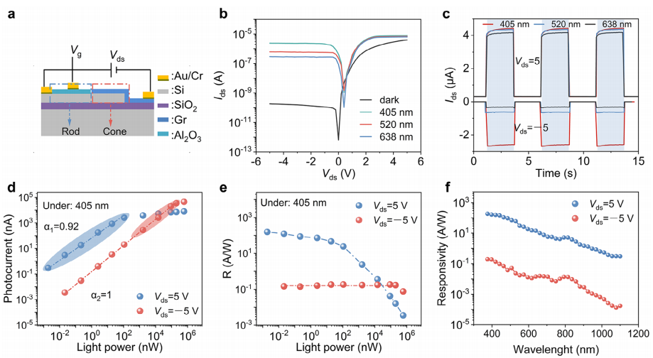 双模光电探测器的光检测性能