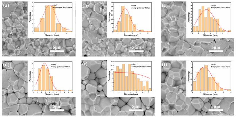 PIN-BS-xPT陶瓷断口表面的SEM图像