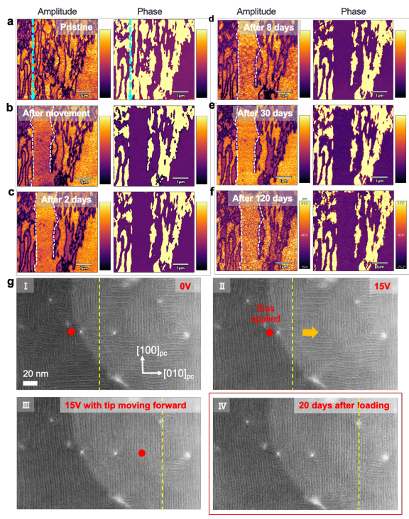 188博金宝网页官网原位TEM