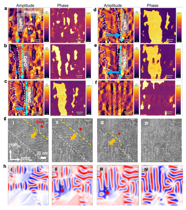 188博金宝网页官网原位TEM
