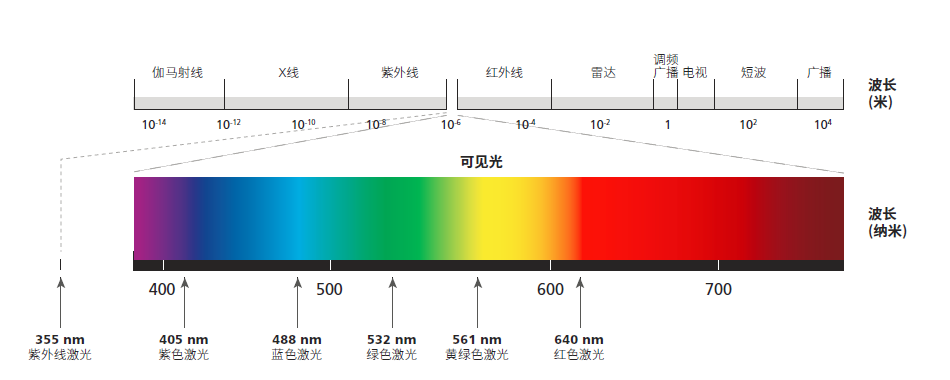 电子显微镜技术