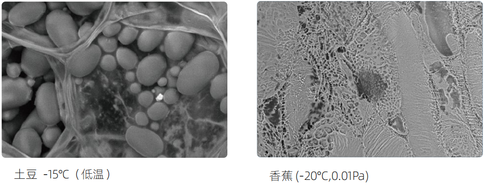 电子显微镜技术