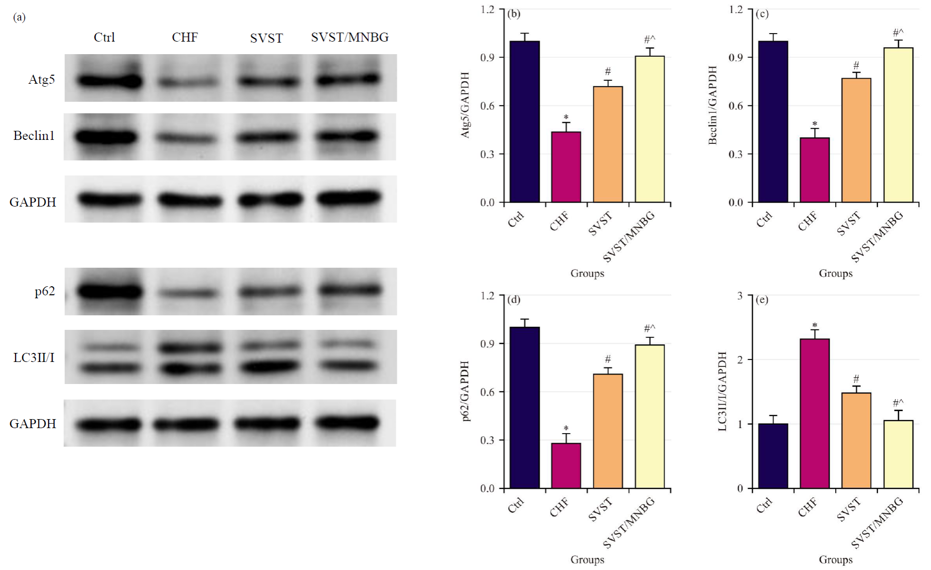 188博金宝网页官网ZEM系列扫描电镜