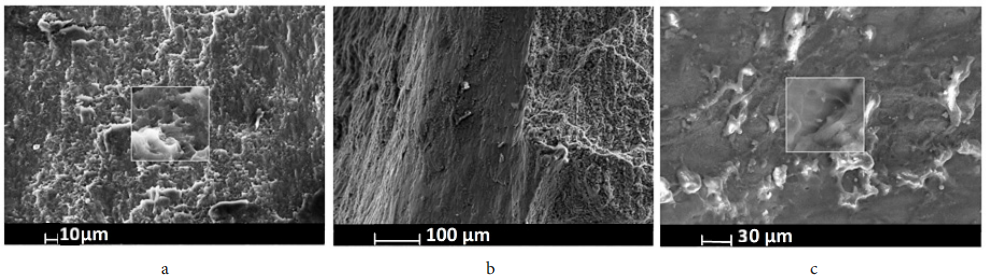 188博金宝网页官网ZEM系列扫描电镜