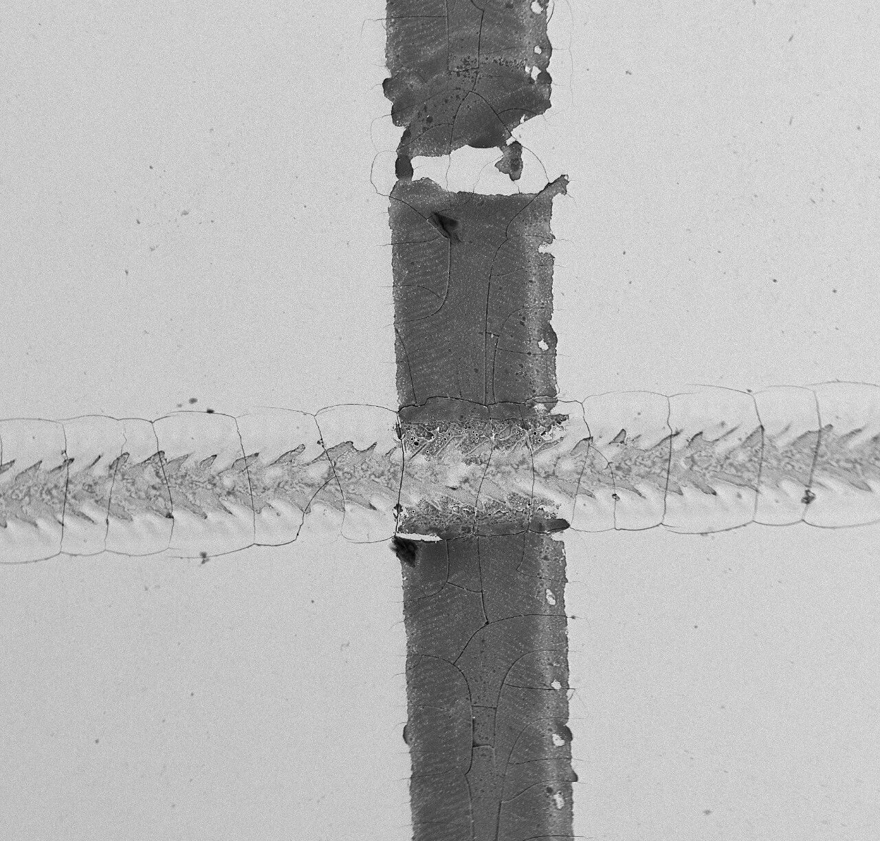 188博金宝网页官网