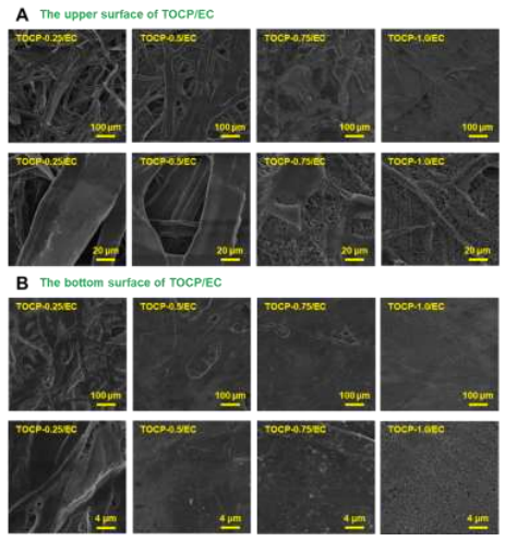 188博金宝网页官网ZEM系列扫描电镜 188博金宝网页官网ZEM系列扫描电镜